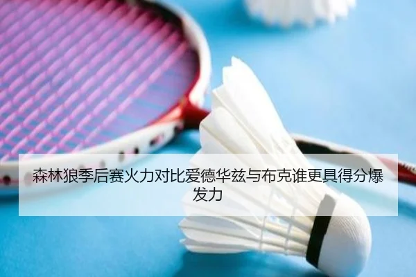 森林狼季后赛火力对比爱德华兹与布克谁更具得分爆发力